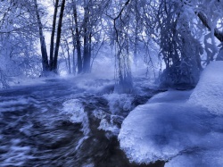 Лес зимой картинки